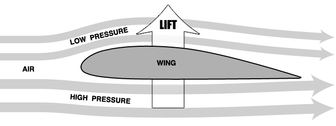 bernoulli